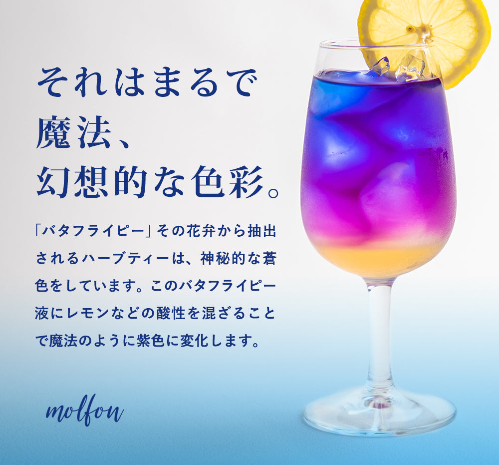 バタフライピーティーバッグ 8包入butterfly pea | バタフライピー専門ブランドmolfon 公式通販サイト