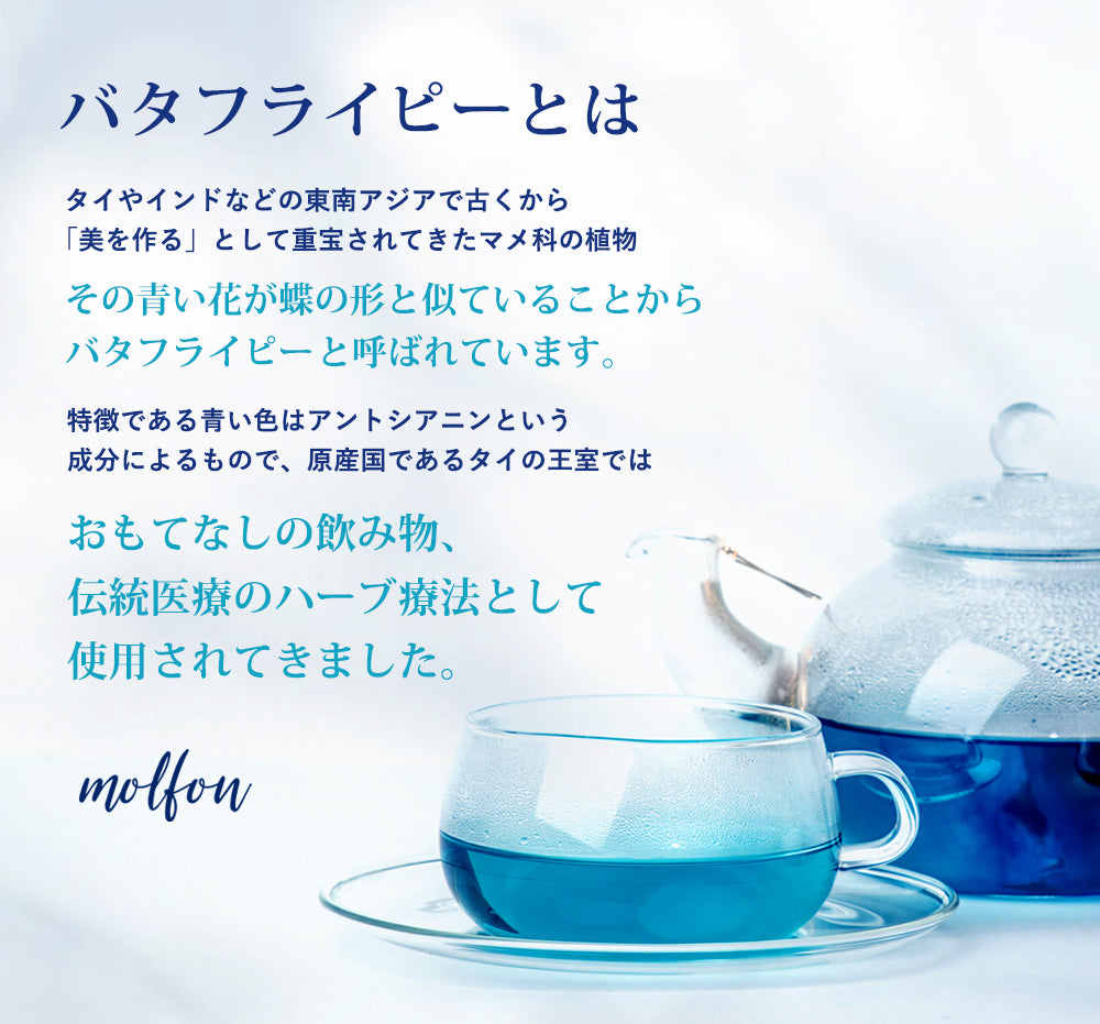 バタフライピーティーバッグ 8包入butterfly pea | バタフライピー専門ブランドmolfon 公式通販サイト